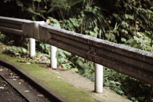 山奥の苔むしたガードレールと野生植物が生い茂る林道