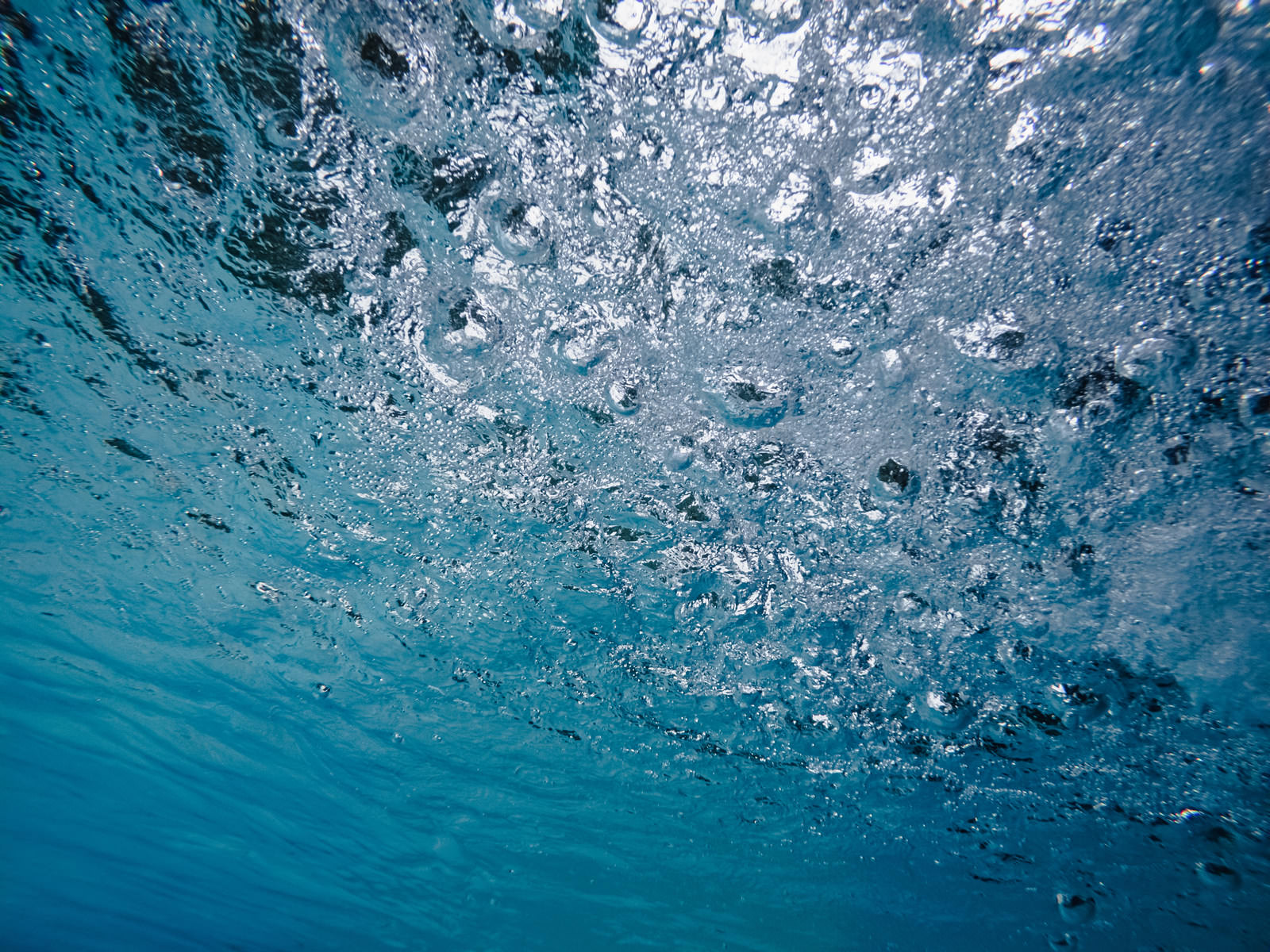 青い水中に無数の気泡が浮かび上がる様子