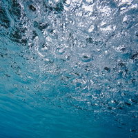 水面近くで立ち上がる無数の泡と光の反射の写真