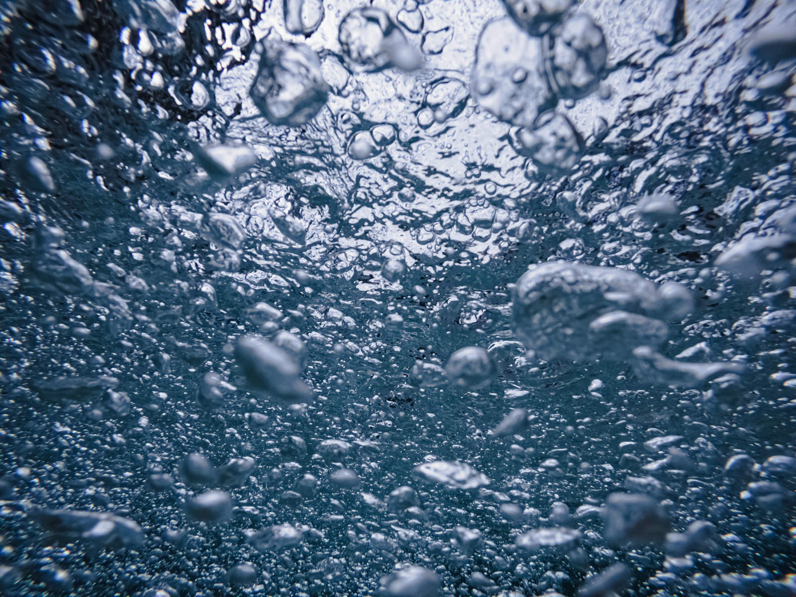 青い水の中に浮かぶ無数の気泡が水面に向かって上昇している