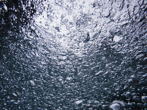 沸き立つ気泡の嵐～水中で白く輝く無数の泡