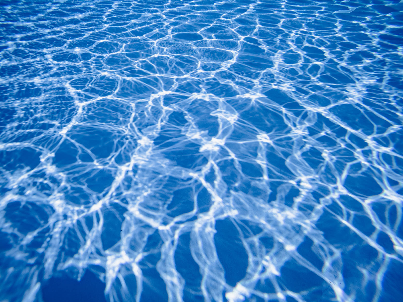 プールの青い水面に太陽光が反射して作る波紋状の光の模様