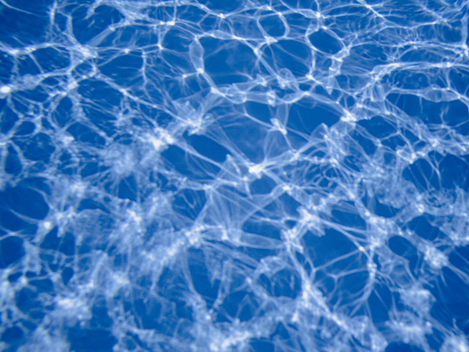 プールの透明な水面に太陽光が差し込み、美しい光の斑模様が揺らめいている