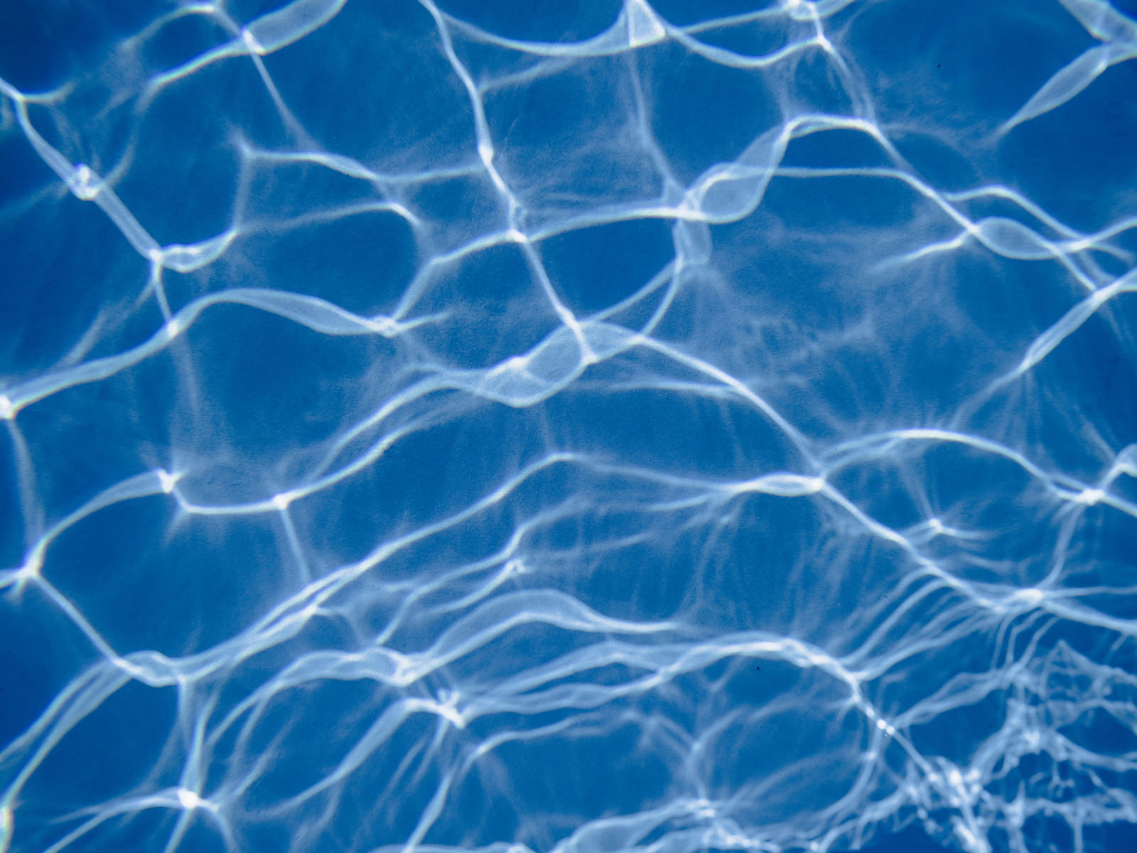 プールの青い水面に太陽光が屈折して作る光の斑模様