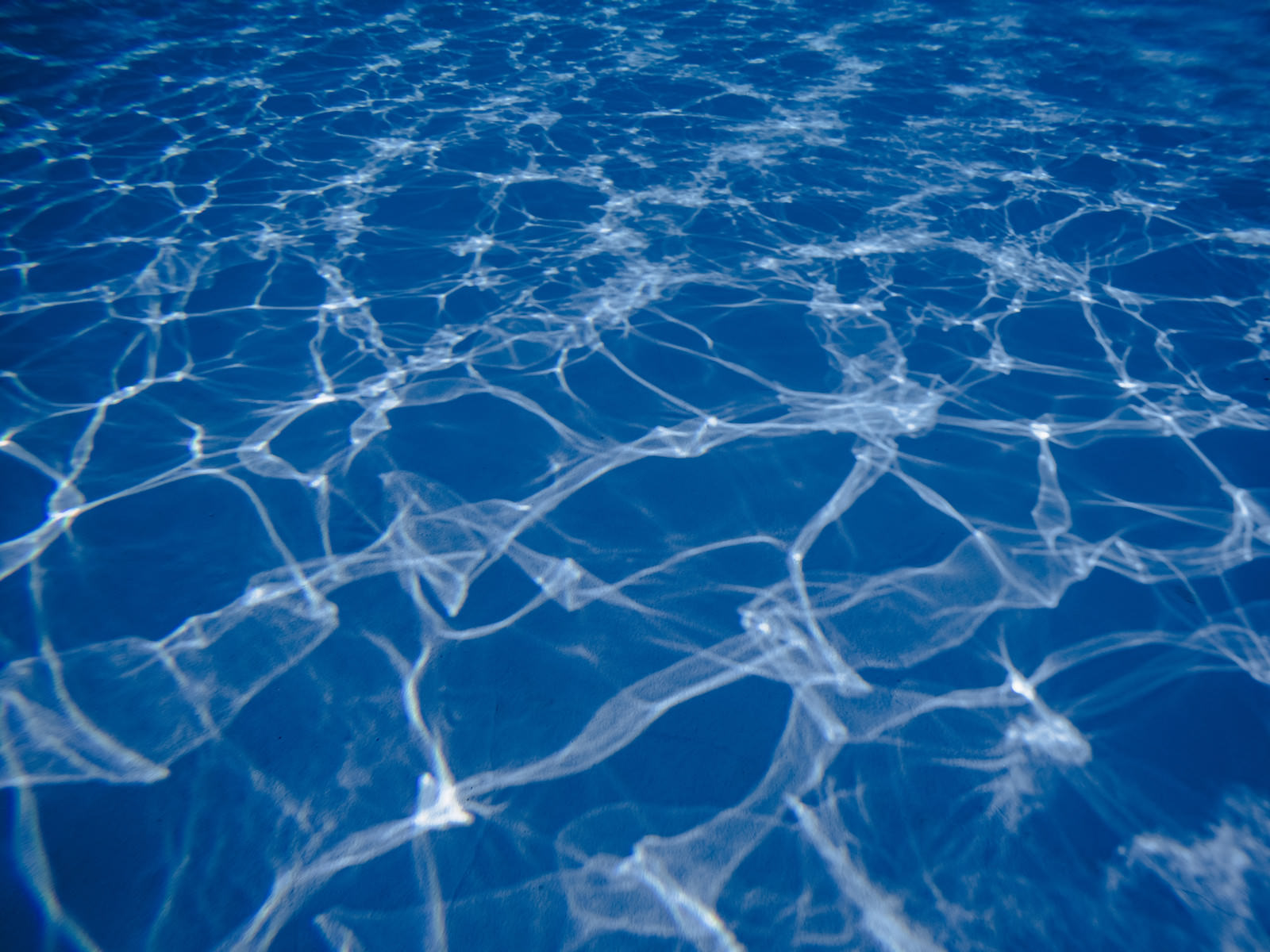 プールの水中に差し込む太陽光が作り出す波紋状の光の斑模様
