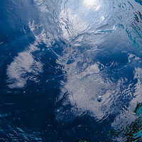 プールの水面に浮かぶ大小さまざまな気泡のテクスチャーの写真