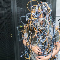 大量のLANケーブルに埋もれるマンの写真