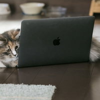 MacBookの上に横たわる猫の写真