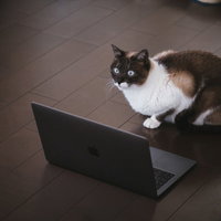 問題が発生したため、プログラムが正しく動作しなくなりました・・・！？の写真