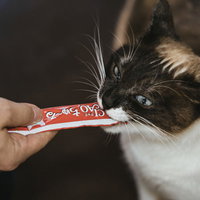 猫まっしぐら！ 狂った用にチュールを食べる猫の写真