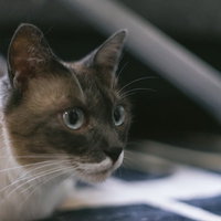 なん...だと...!?の写真