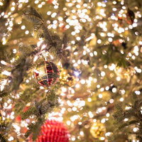 赤いオーナメントを飾ったクリスマスツリーの写真