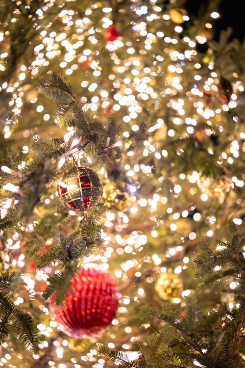 赤いオーナメントを飾ったクリスマスツリー