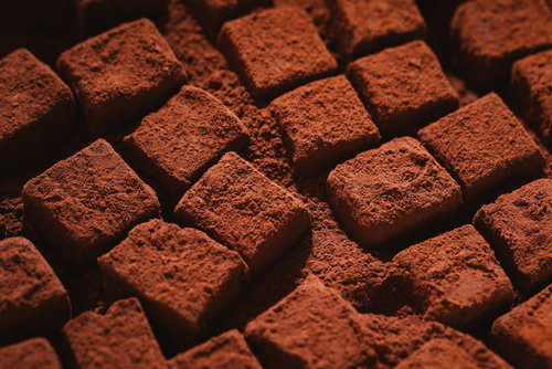 ココアパウダーに埋まる四角い生チョコレート