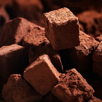 ココアパウダーをまぶした手作り生チョコレートの写真