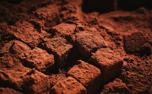 ココアパウダーたっぷりコーティングした手作り生チョコ