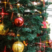 赤と金色のオーナメントで装飾されたキラキラ光るクリスマスツリーの写真