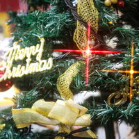 Merry Christmas と書かれたツリーのライトアップの写真