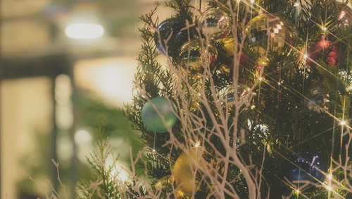 クリスマスシーズンのライトアップされたクリスマスツリー