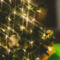 クリスマスツリーの電飾キラキラとゴールドオーナメントの写真