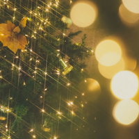 ライトアップされたクリスマスツリーとボケ味のイルミネーションの写真