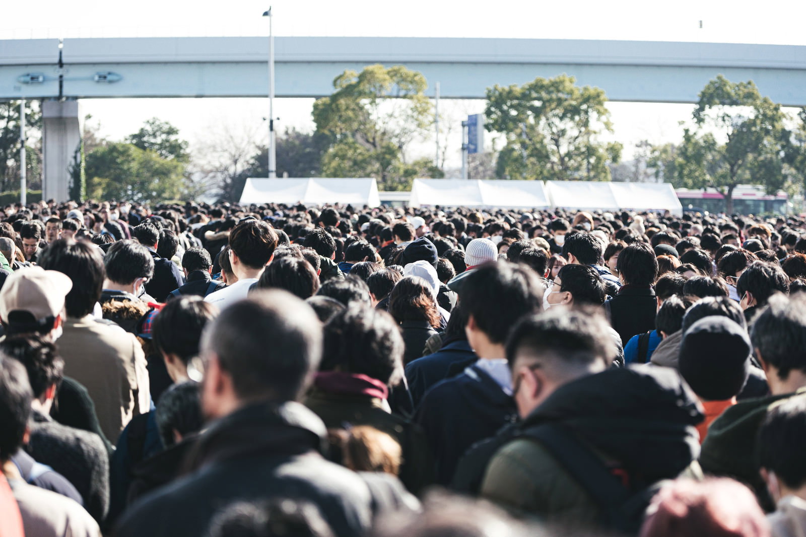 多くの人々が密集して並んでいる行列の後ろ姿