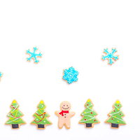 クリスマスツリーに囲まれて（アイシングクッキー）の写真