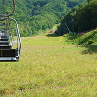 リフトに乗りコスモス園の上をゆくの写真