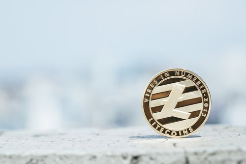 雪の上に置かれたライトコイン（暗号資産）