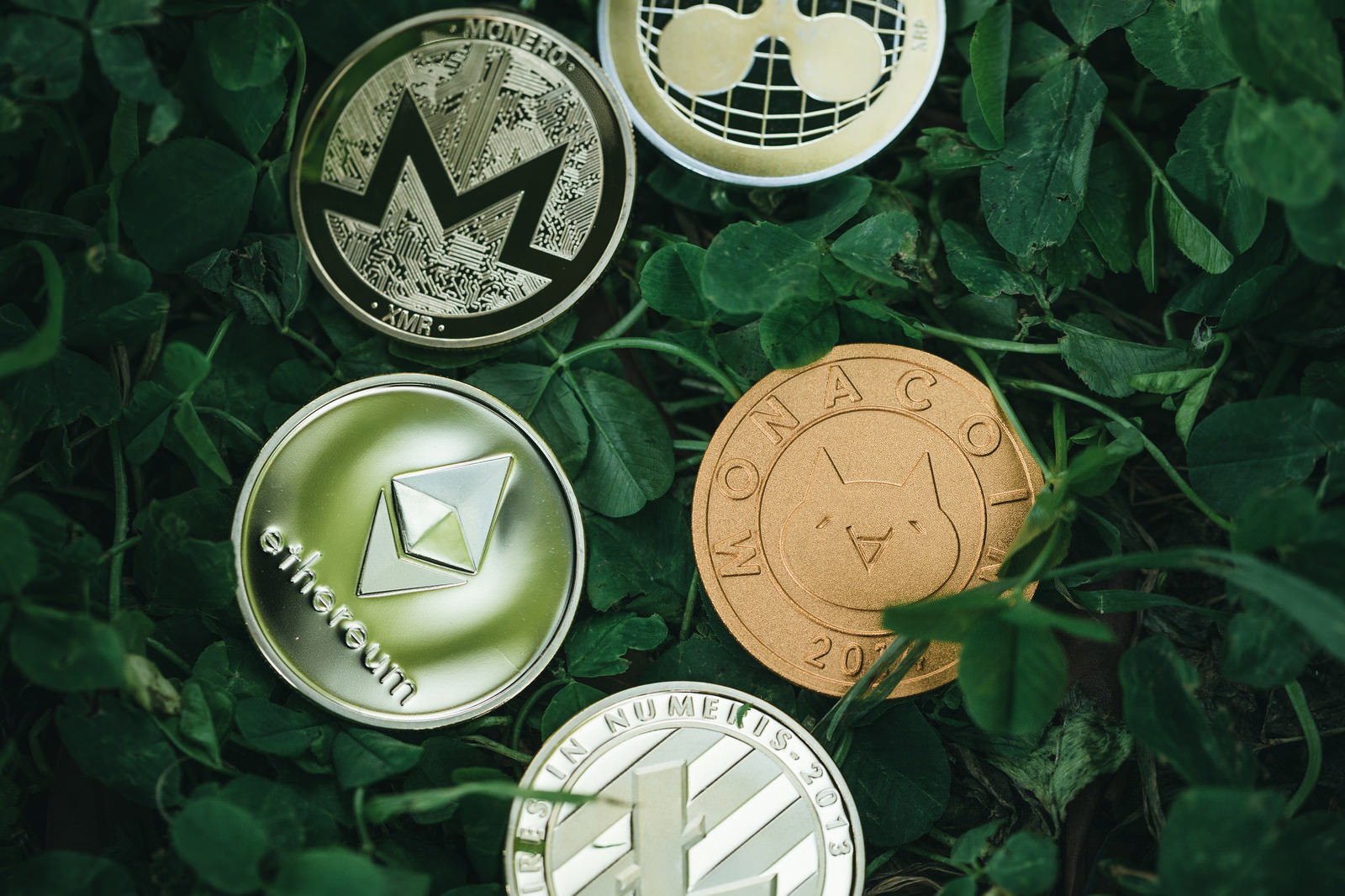 緑の葉に囲まれて配置された複数の仮想通貨コイン