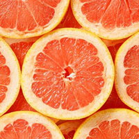 輪切りにしたグレープフルーツの断面写真の写真