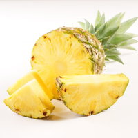 白い背景に並ぶ輪切りのパイナップルと丸ごと一個の写真