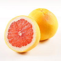 カット前と1/2カットのグレープフルーツの写真