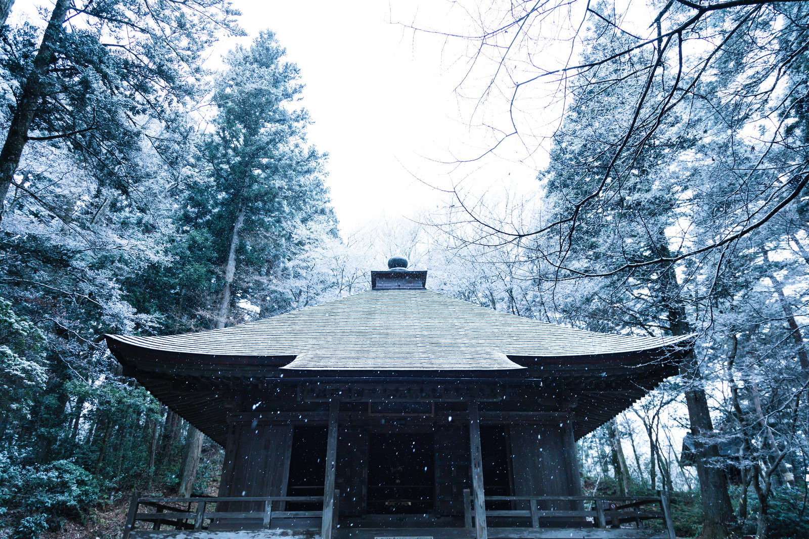 雪が降り積もった中尊寺経蔵の建物