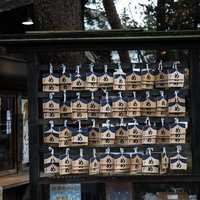 中尊寺峯薬師堂に奉納された「め」の絵馬と世界遺産平泉の信仰風景の写真