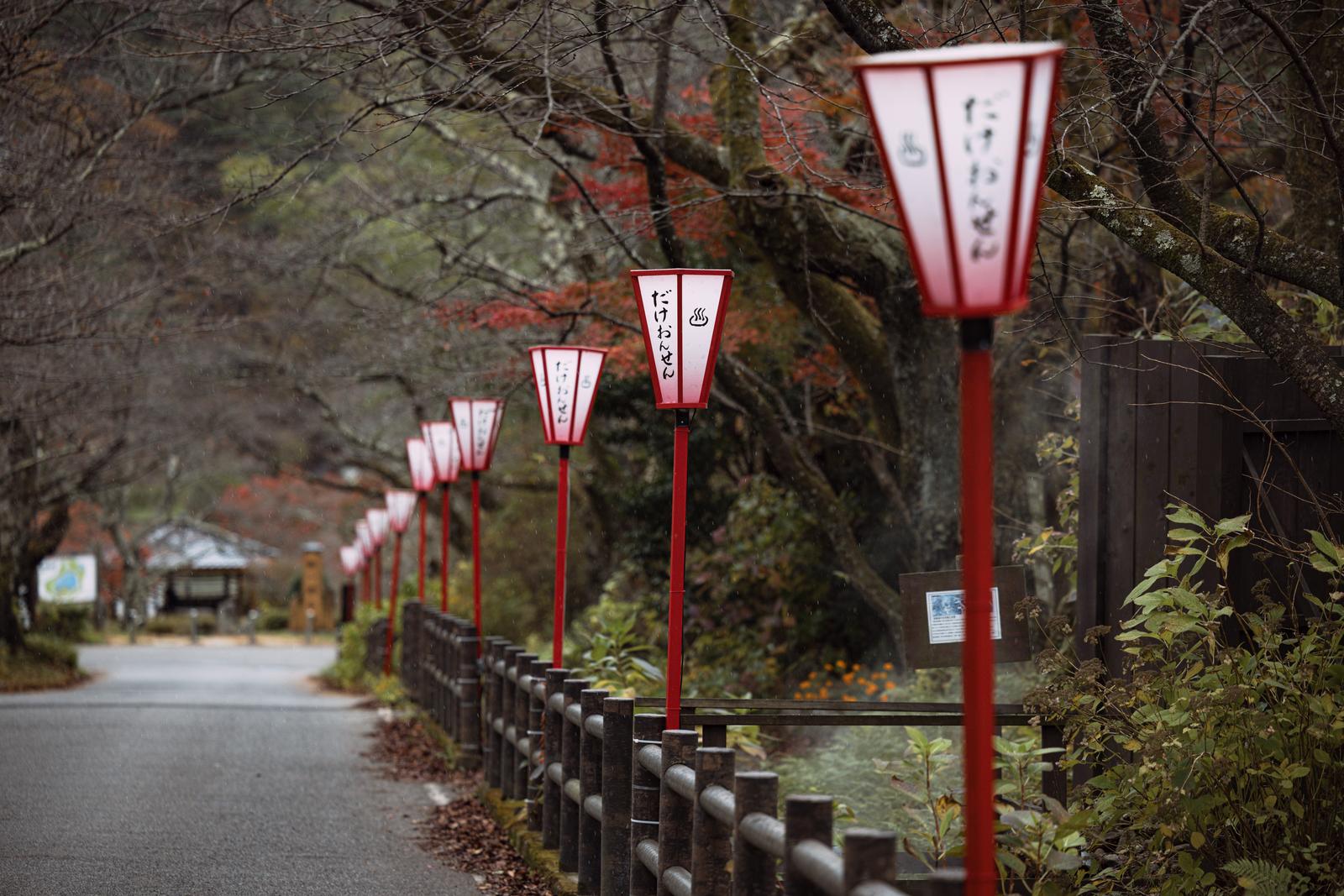 岳温泉の桜坂に並ぶ赤い提灯と冬の樹木