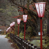 岳温泉の冬の桜坂を彩る赤い提灯、雪景色の温泉街風景の写真