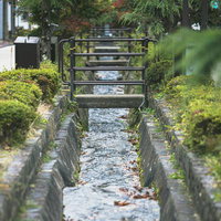 岳温泉のヒマラヤ大通りを流れる清流と苔生した石垣の小川の写真