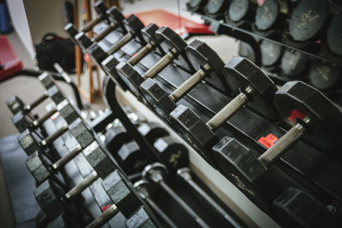 スポーツジムに並ぶダンベル、重量別に整理されたトレーニング器具