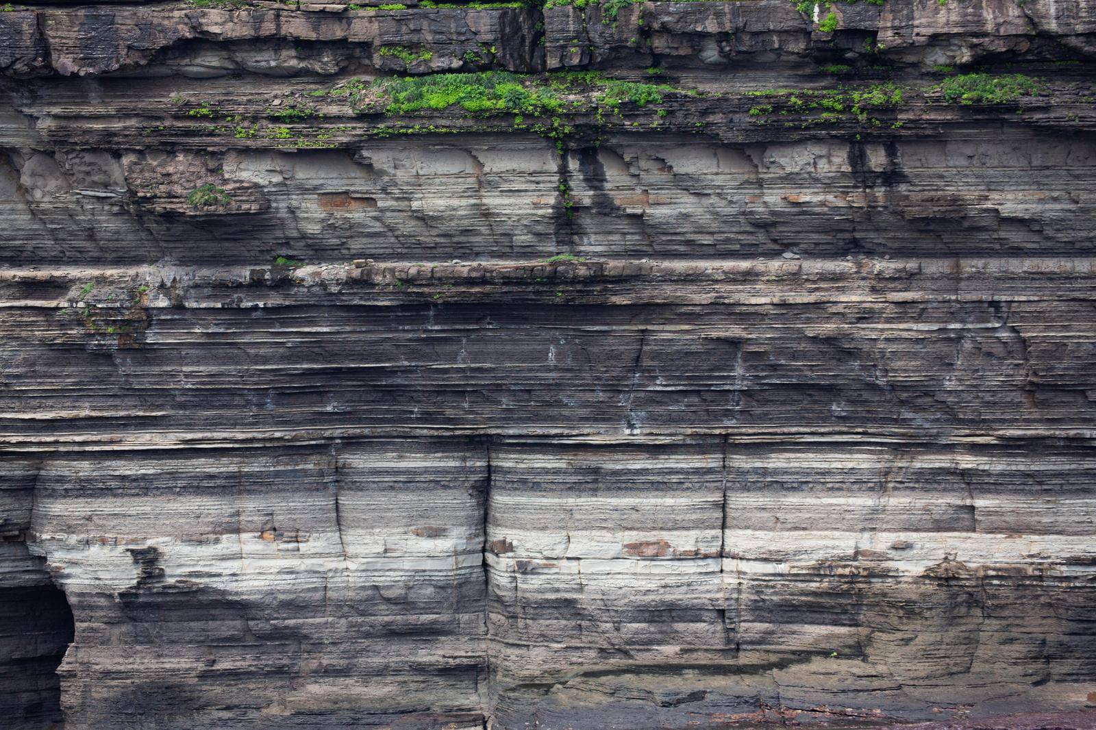 津山市議会の議場で演壇に立ち原稿を読み上げている男性議員