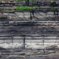 津山市議会の議場で原稿を手に演説している男性議員の写真