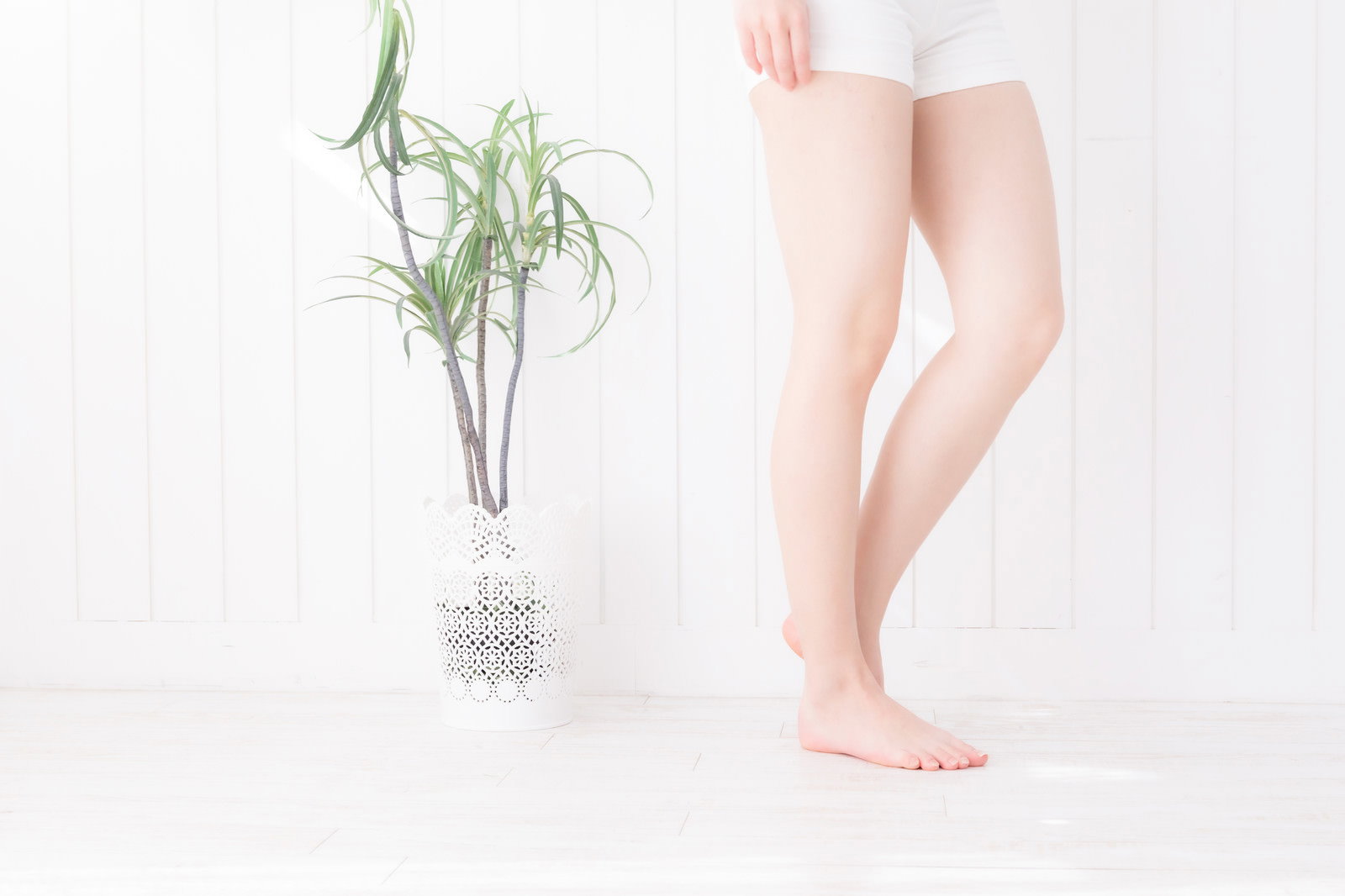 白い床に立ち脚に手を触れる細い女性の下半身と観葉植物［モデル：川子芹菜］
