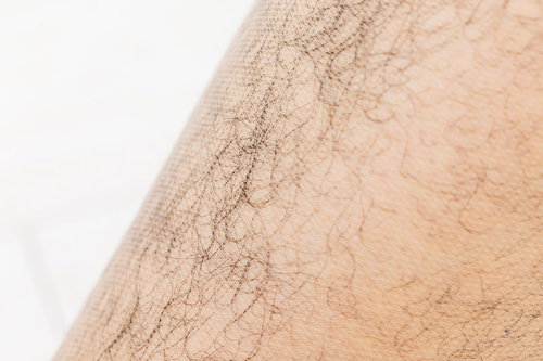 ストッキングから飛び出す濃いすね毛と剛毛