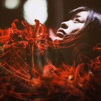悲顔花（ヒガンバナ）―女性の顔と赤い彼岸花のフォトモンタージュの写真