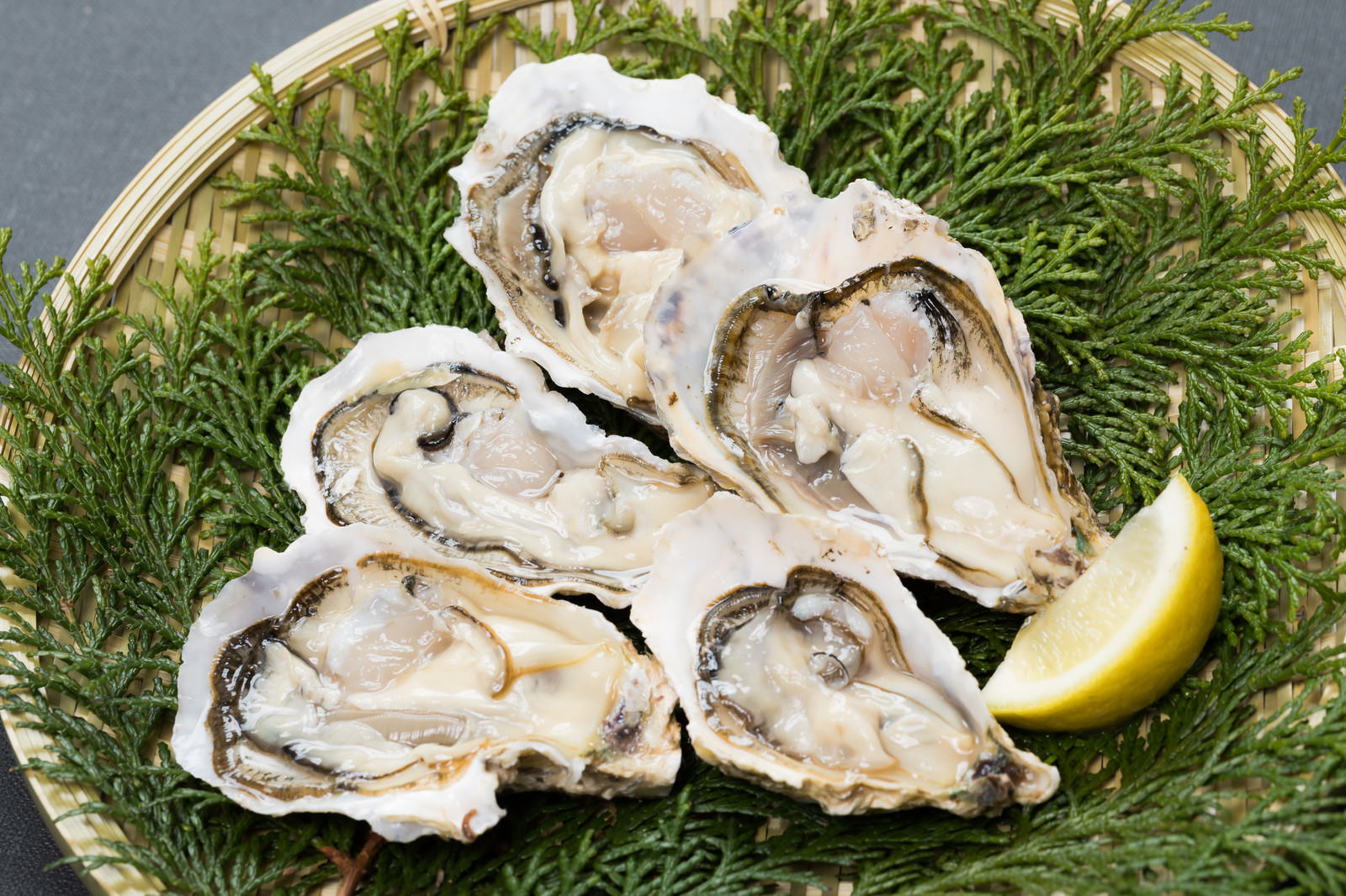 天然のヒノキ葉の上に配置された5個の殻付き牡蠣とレモン