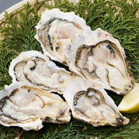 天然のヒノキ葉の上に並べられた恵比須牡蠣の殻付き5個の写真