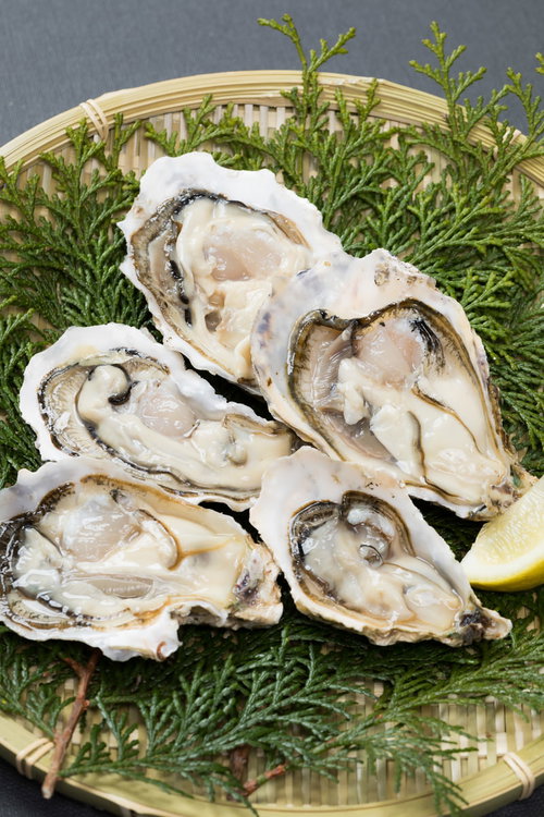 ざるに盛られた檜葉と恵比須牡蠣の生牡蠣、高級海鮮食材