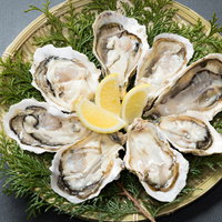 最高級の恵比須牡蠣を檜葉のザルに並べた盛り合わせの写真