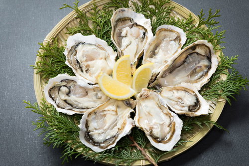 最高級の恵比須牡蠣を檜葉のザルに並べた盛り合わせ