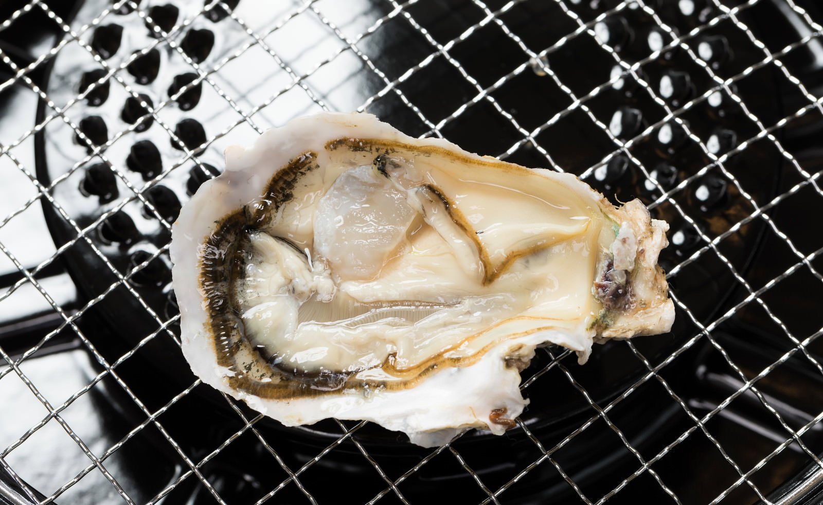 金属製の網の上に置かれた殻が開いた新鮮な生牡蠣